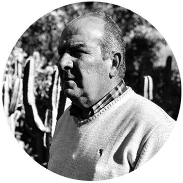 Papá Manolo